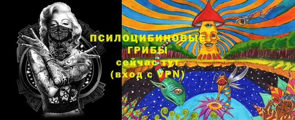 spice Лиски